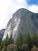 PICTURES/Yosemite National Park/t_El Capitan2.JPG